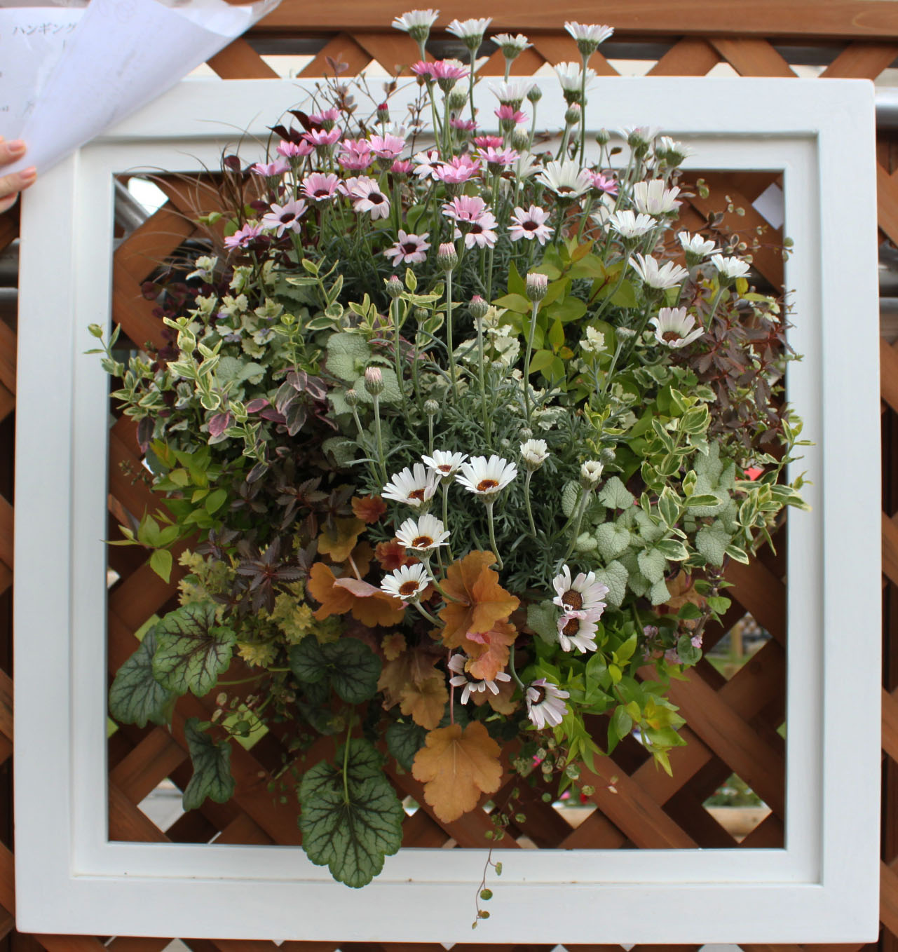 緑のまちづくり 公益財団法人 福岡市緑のまちづくり協会