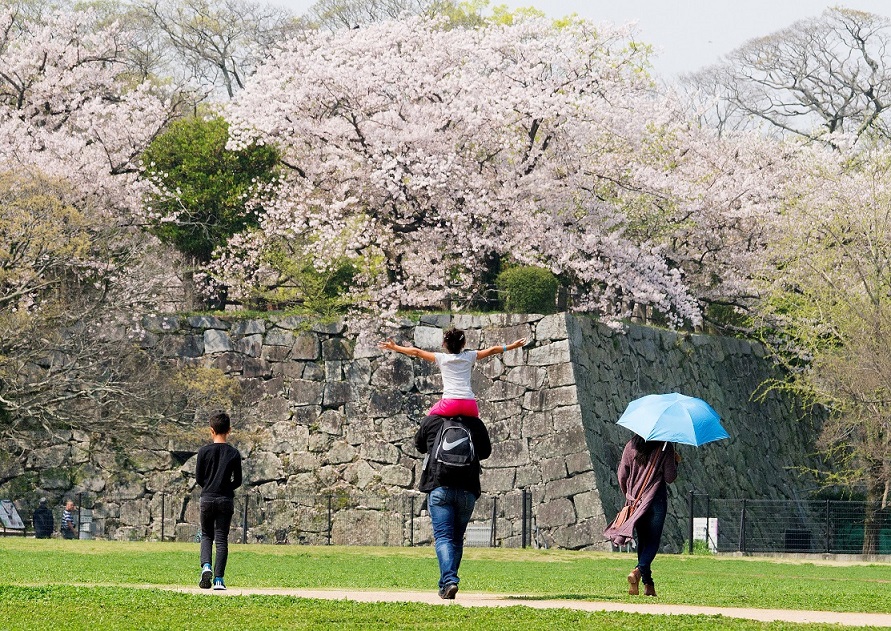 緑のまちづくり 公益財団法人 福岡市緑のまちづくり協会
