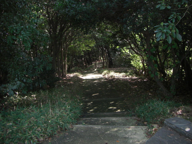 緑のまちづくり 公益財団法人 福岡市緑のまちづくり協会