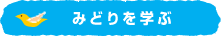 みどりを学ぶ