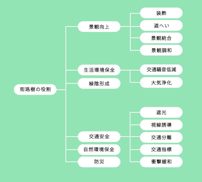 ベニバナトチノキ
