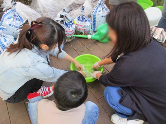 舞鶴公園フラワーボランティア