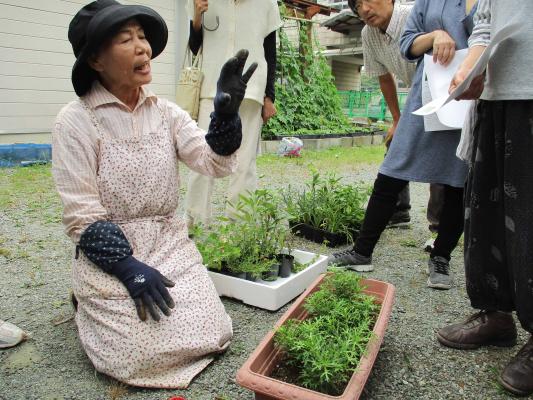 前田さんによる説明