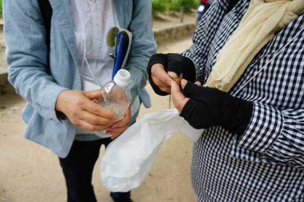 ムクロジの実を水に入れて振ると…