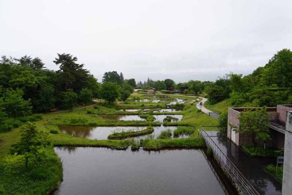 展望台からの眺め。