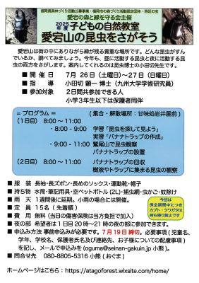 ちらし