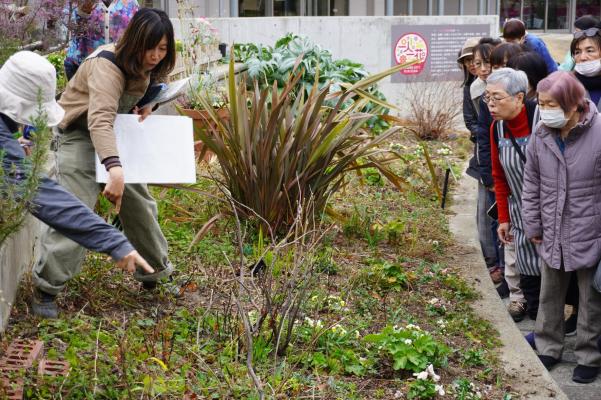 「どれどれ～？」「これこれ！」