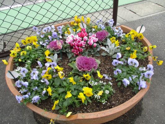 香椎駐車場プランター 花の植替え スタッフブログ スタッフブログ 緑のまちづくり 公益財団法人 福岡市緑のまちづくり協会