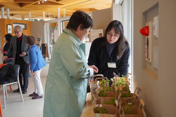 お土産の花苗のお渡し