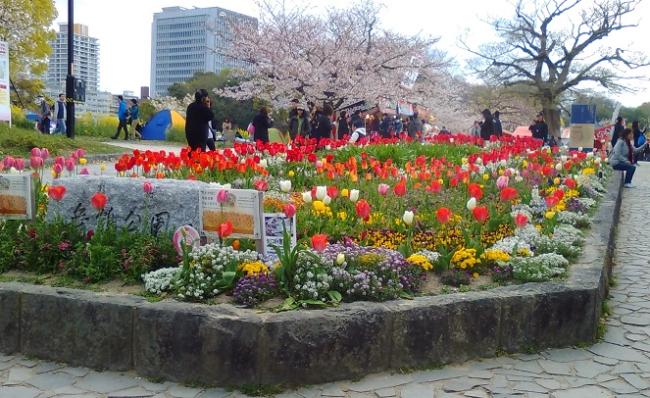 舞鶴公園フラワーボランティアの春の花壇