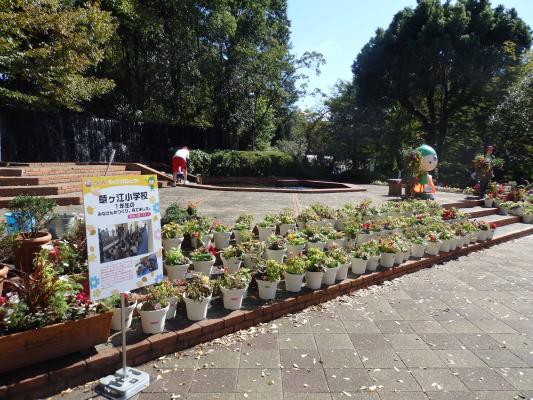 寄せ植え