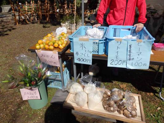 園芸福祉ふくおかネット