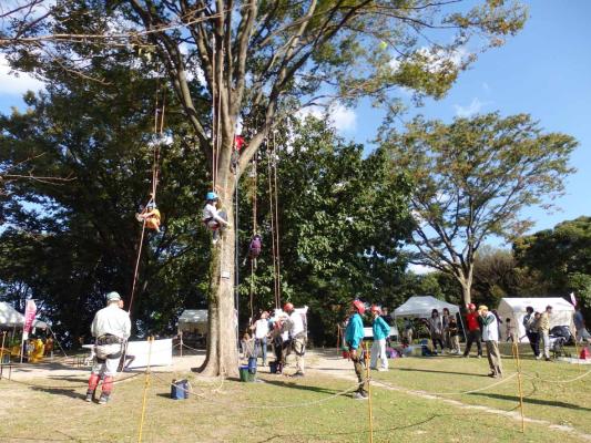 一般財団法人福岡県樹木医会