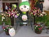 花装飾